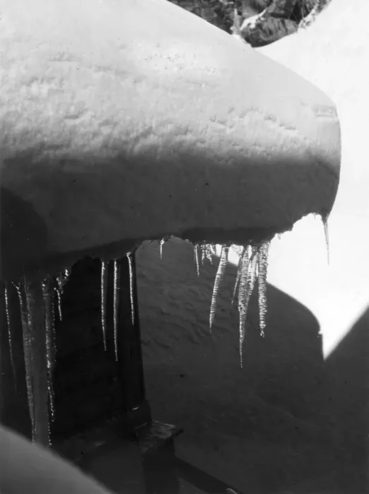 Framed Print : ICICLES. A study of icicles. Date: 1930s