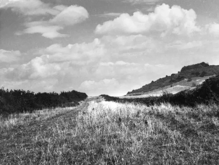 Framed Print : Icknield St. Roman Road Framed Print : Icknield St. Roman Road