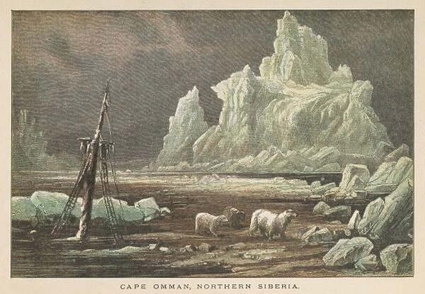 Icy Siberian Coast. The icy coast at Cape Omman