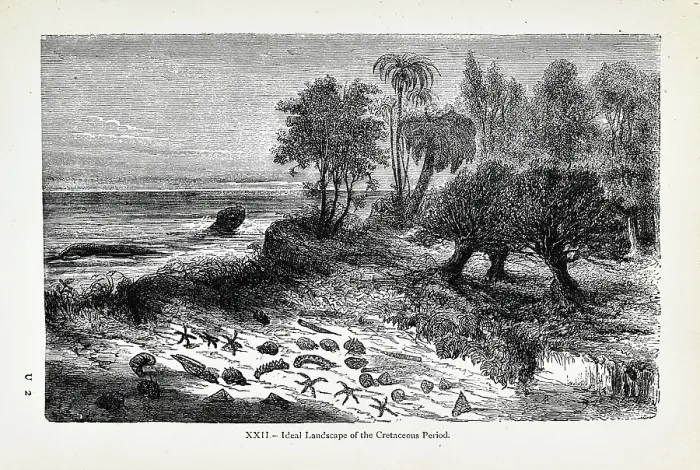 Framed Print : Ideal landscape of the Cretaceous Period Framed Print : Ideal landscape of the Cretaceous Period