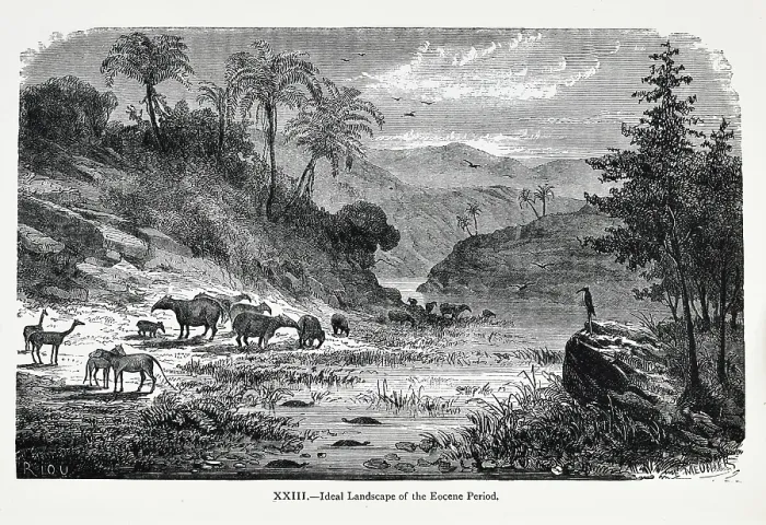 Framed Print : Ideal landscape of the Eocene Period Framed Print : Ideal landscape of the Eocene Period