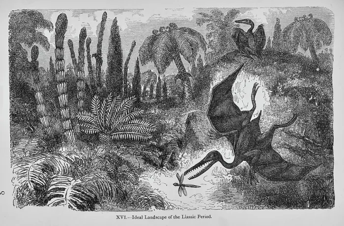 Framed Print : Ideal landscape of the Liassic Period Framed Print : Ideal landscape of the Liassic Period
