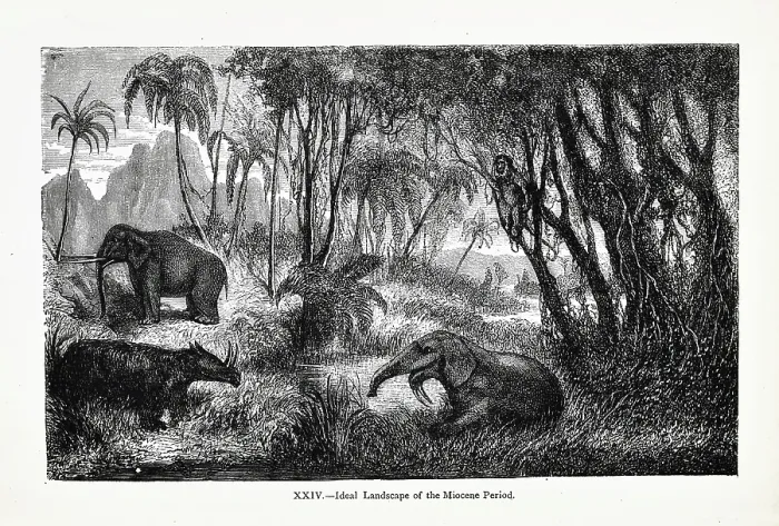 Framed Print : Ideal landscape of the Miocene Period Framed Print : Ideal landscape of the Miocene Period