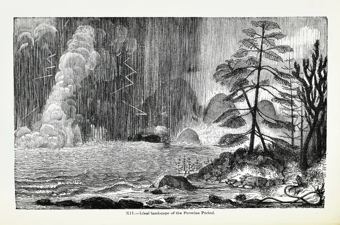 Framed Print : Ideal landscape of the Permian Period Framed Print : Ideal landscape of the Permian Period