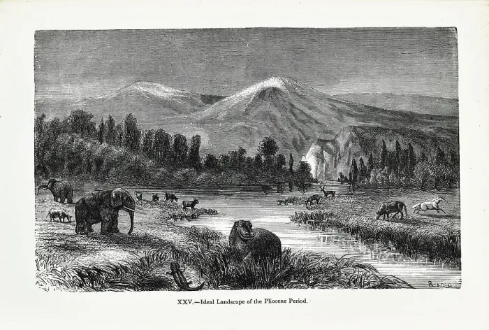 Framed Print : Ideal landscape of the Pliocene Period Framed Print : Ideal landscape of the Pliocene Period
