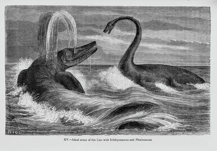 Framed Print : Ideal scene of the Lias with Ichthyosaurus and Plesiosaurus Framed Print : Ideal scene of the Lias with Ichthyosaurus and Plesiosaurus