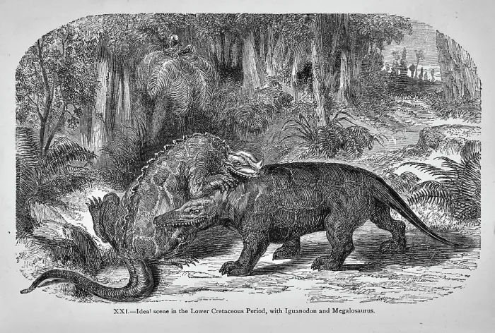 Framed Print : Ideal scene in the Lower Cretaceous Period Framed Print : Ideal scene in the Lower Cretaceous Period
