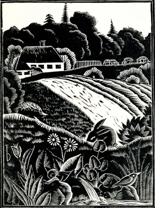 Framed Print : An idyllic rural scene Framed Print : An idyllic rural scene