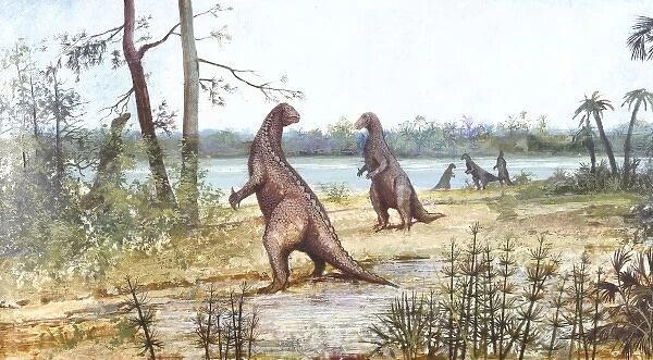 Iguanodon. A wealden reed swamp depicted during the Lower Cretaceous period
