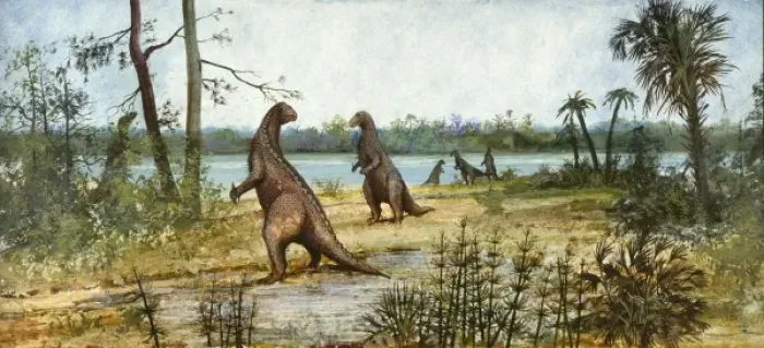 Framed Print : Iguanodon. A wealden reed swamp depicted during the Lower Cretaceous period Framed Print : Iguanodon. A wealden reed swamp depicted during the Lower Cretaceous period