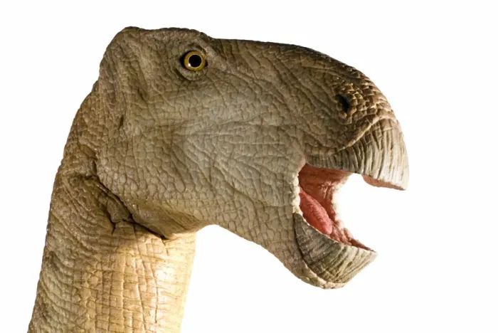 Framed Print : Iguanodon. An animatronic Iguanodon dinosaur made by Kokoro in colabroration Framed Print : Iguanodon. An animatronic Iguanodon dinosaur made by Kokoro in colabroration
