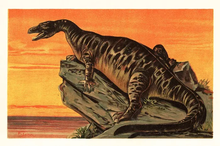 Framed Print : Iguanodon bernissartensis, extinct species of Iguanodontian dino