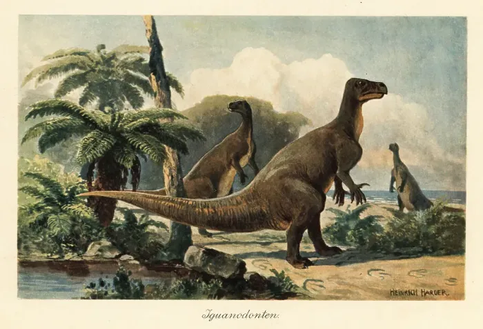 Framed Print : Iguanodon bernissartensis in a prehistoric fern forest Framed Print : Iguanodon bernissartensis in a prehistoric fern forest