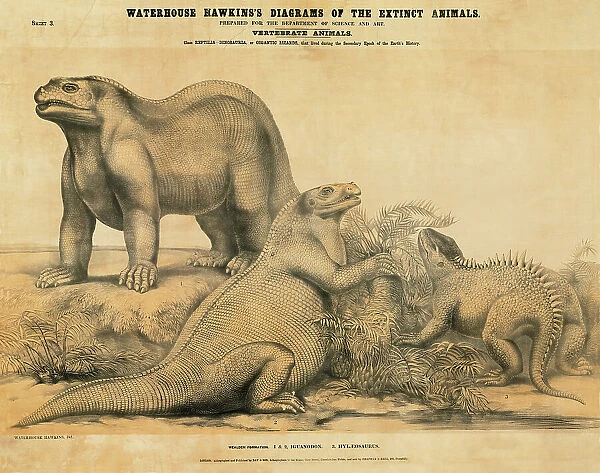 Iguanodon and Hylaeosaurus