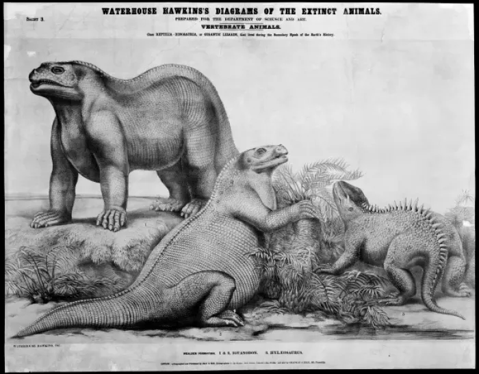 Framed Print : Iguanodon and Hylaeosaurus Framed Print : Iguanodon and Hylaeosaurus