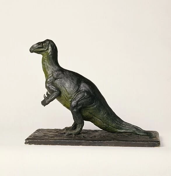 Iguanodon model. An Iguanodon model made during the 1940s