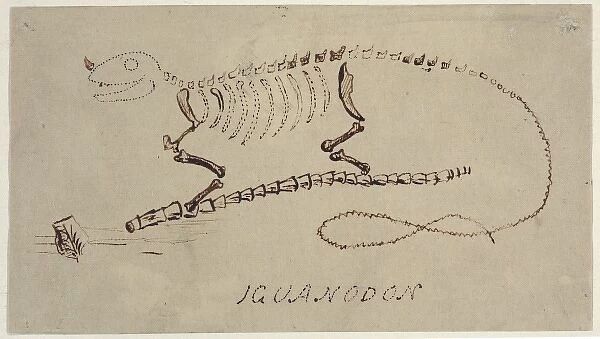 Iguanodon reconstruction by Gideon Mantell