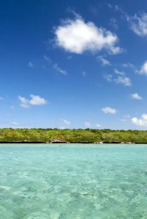 Framed Print : Ile aux Aigrettes island
