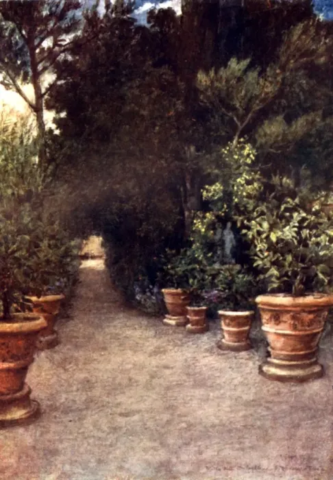 Framed Print : The Ilex Walk, Villa dell Ombrellino San Domenico, Italy Framed Print : The Ilex Walk, Villa dell Ombrellino San Domenico, Italy
