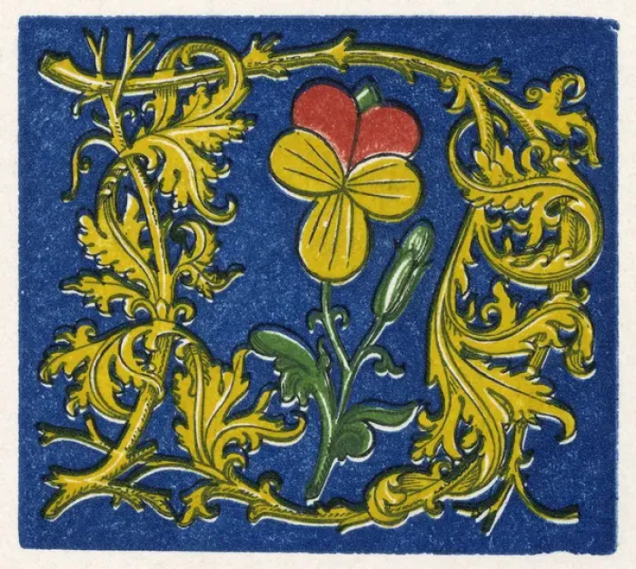 Framed Print : Illuminated letter D Framed Print : Illuminated letter D