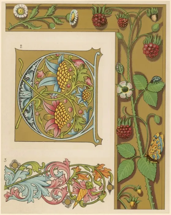 Framed Print : Illuminating 15c & 16c Framed Print : Illuminating 15c & 16c