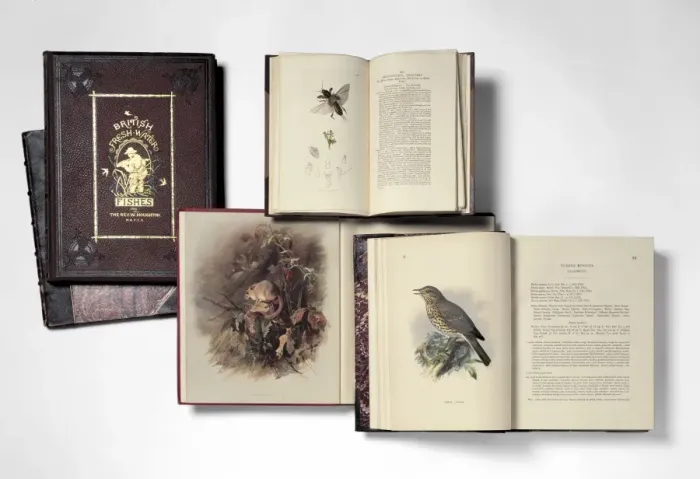 Framed Print : Illustrated books Framed Print : Illustrated books