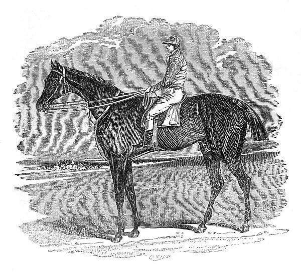 Illustration, Birmingham, winner of the St Leger Stakes