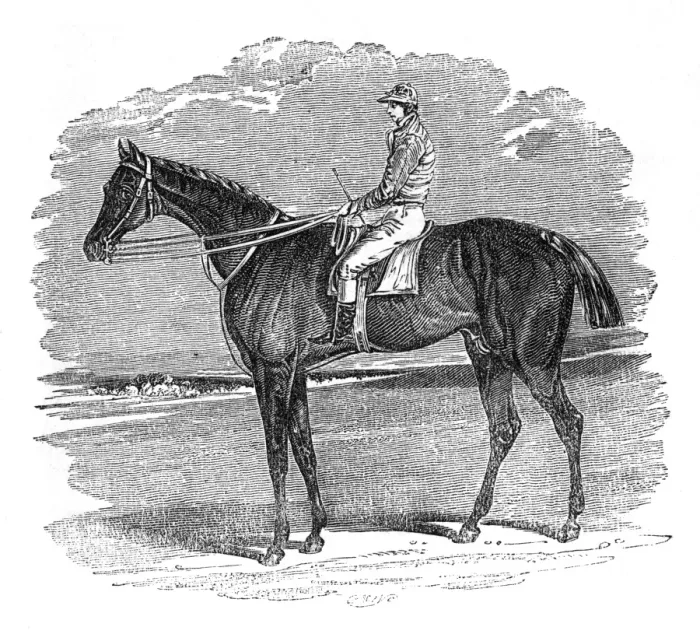 Framed Print : Illustration, Birmingham, winner of the St Leger Stakes Framed Print : Illustration, Birmingham, winner of the St Leger Stakes