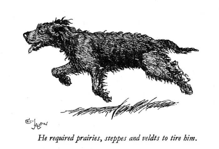 Framed Print : Illustration of a black dog by Cecil Aldin Framed Print : Illustration of a black dog by Cecil Aldin