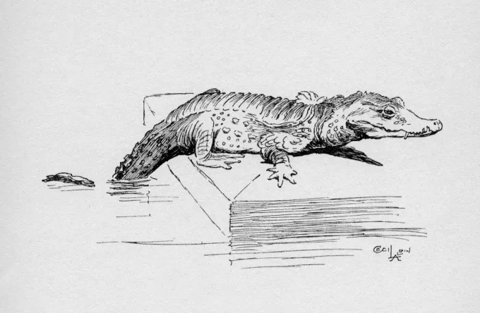 Framed Print : Illustration by Cecil Aldin, The Alligator Framed Print : Illustration by Cecil Aldin, The Alligator