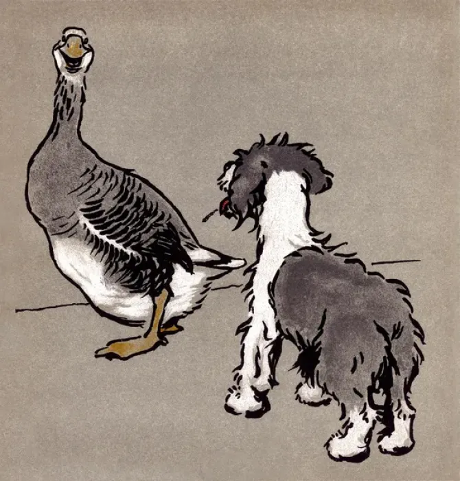 Framed Print : Illustration by Cecil Aldin, The Bobtail Puppy Book Framed Print : Illustration by Cecil Aldin, The Bobtail Puppy Book