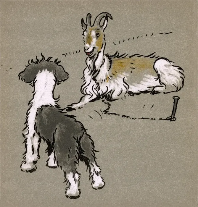 Framed Print : Illustration by Cecil Aldin, The Bobtail Puppy Book Framed Print : Illustration by Cecil Aldin, The Bobtail Puppy Book