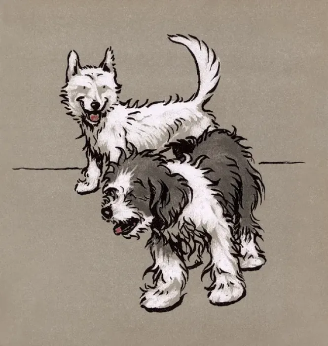 Framed Print : Illustration by Cecil Aldin, The Bobtail Puppy Book Framed Print : Illustration by Cecil Aldin, The Bobtail Puppy Book