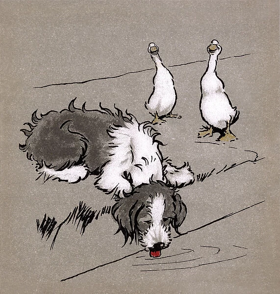 Illustration by Cecil Aldin, The Bobtail Puppy Book