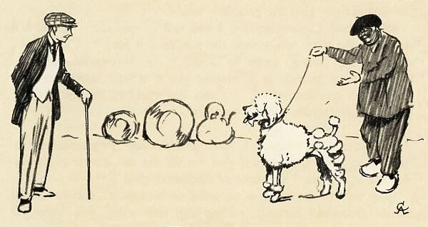 Illustration by Cecil Aldin, buying a white French poodle