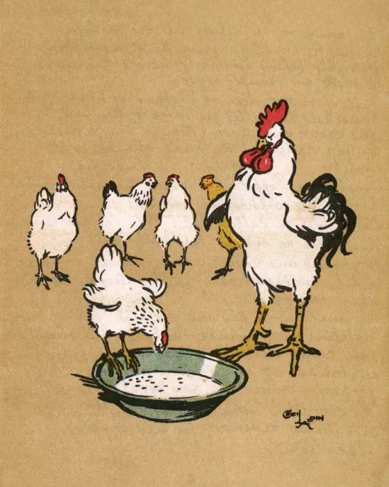 Framed Print : Illustration by Cecil Aldin, Cock-O-Lorum Framed Print : Illustration by Cecil Aldin, Cock-O-Lorum