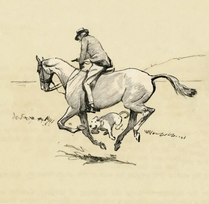 Framed Print : Illustration by Cecil Aldin, Cracker running with horse Framed Print : Illustration by Cecil Aldin, Cracker running with horse
