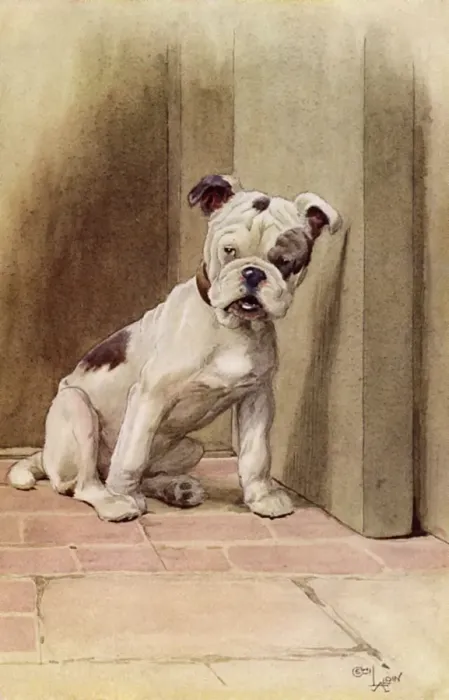 Framed Print : Illustration by Cecil Aldin, My Dog