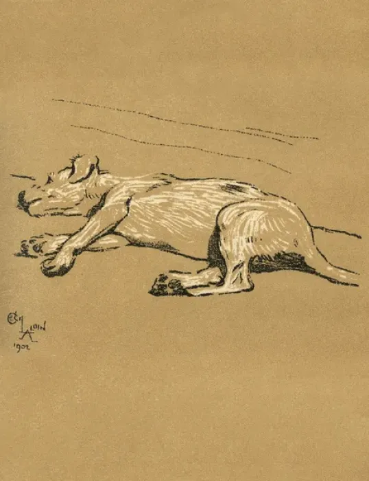 Framed Print : Illustration by Cecil Aldin, A Dog Day Framed Print : Illustration by Cecil Aldin, A Dog Day