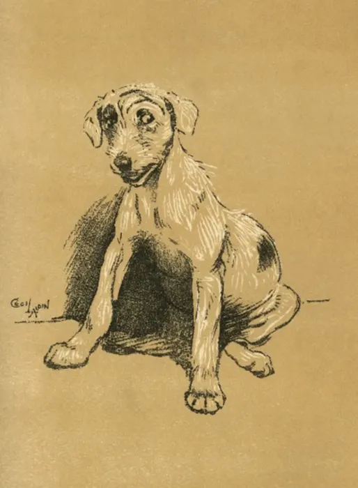 Framed Print : Illustration by Cecil Aldin, A Dog Day Framed Print : Illustration by Cecil Aldin, A Dog Day