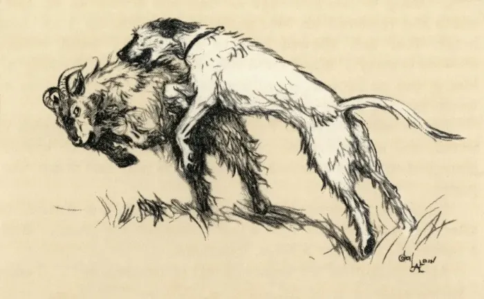 Framed Print : Illustration by Cecil Aldin, a dog who attacked goats