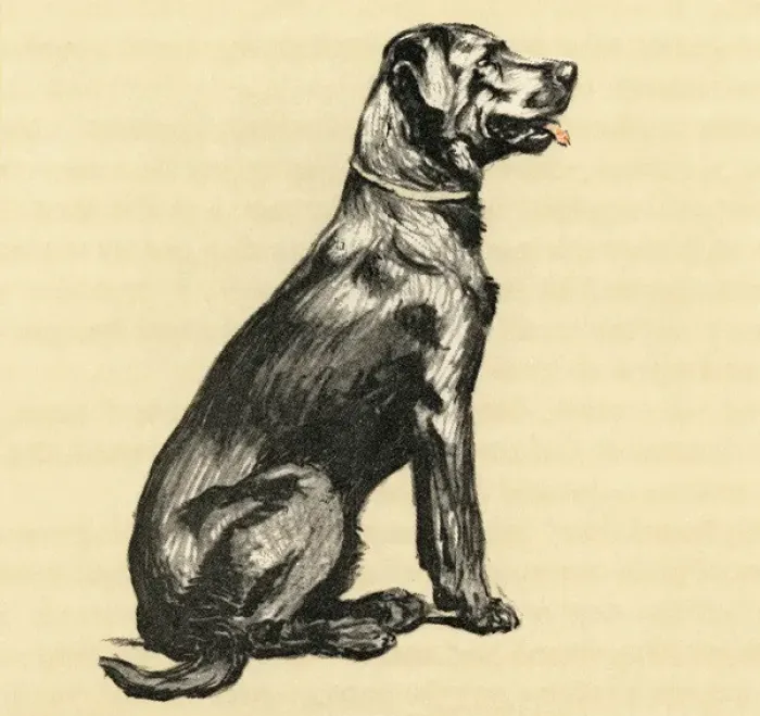 Framed Print : Illustration by Cecil Aldin, a dog who stole eggs Framed Print : Illustration by Cecil Aldin, a dog who stole eggs