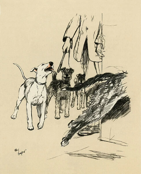 Illustration by Cecil Aldin, dogs at supper time