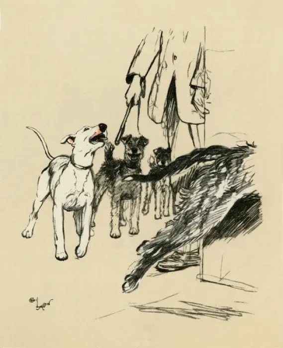 Framed Print : Illustration by Cecil Aldin, dogs at supper time Framed Print : Illustration by Cecil Aldin, dogs at supper time