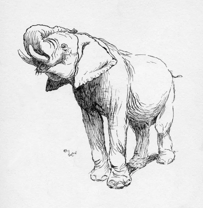 Framed Print : Illustration by Cecil Aldin, The Elephant Framed Print : Illustration by Cecil Aldin, The Elephant