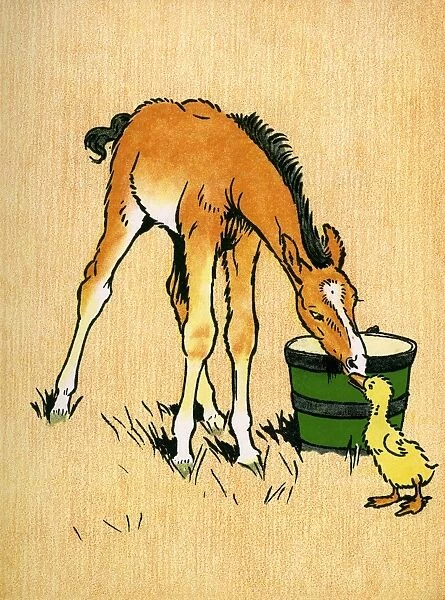 Illustration by Cecil Aldin, Farm Babies