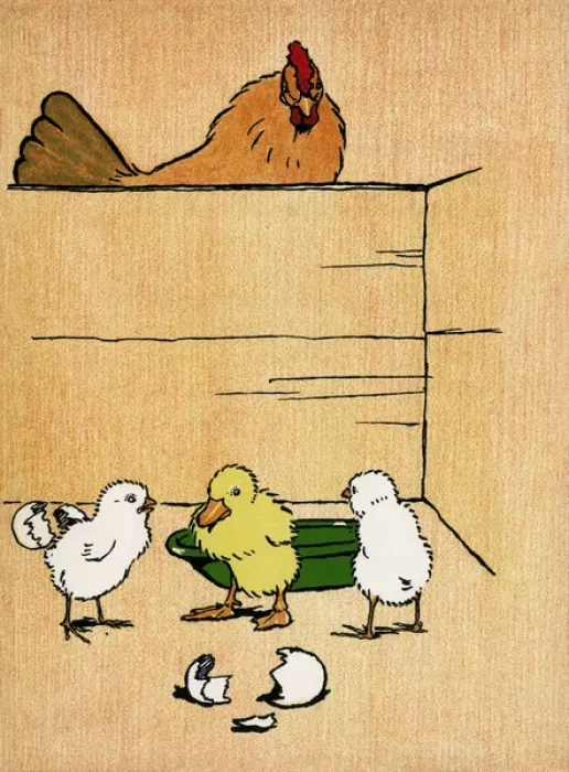 Framed Print : Illustration by Cecil Aldin, Farm Babies Framed Print : Illustration by Cecil Aldin, Farm Babies
