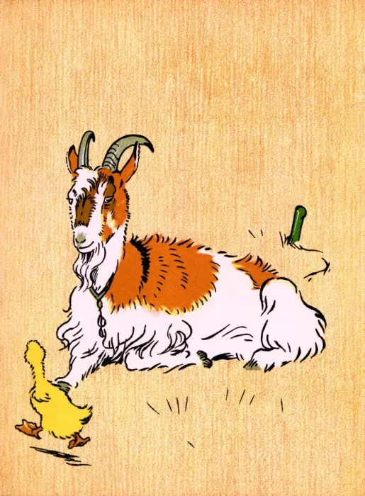 Framed Print : Illustration by Cecil Aldin, Farm Babies Framed Print : Illustration by Cecil Aldin, Farm Babies