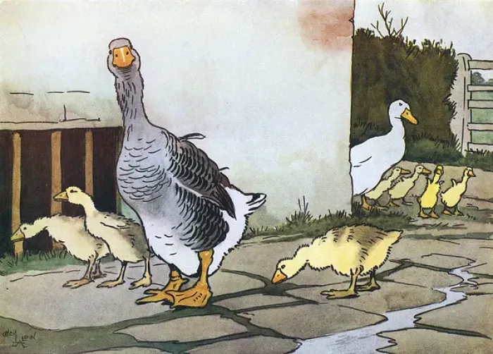 Framed Print : Illustration by Cecil Aldin, Farmyard Friends