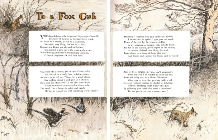 Framed Print : Illustration by Cecil Aldin, Forty Fine Ladies Framed Print : Illustration by Cecil Aldin, Forty Fine Ladies